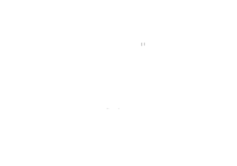 Old City cemetery logo